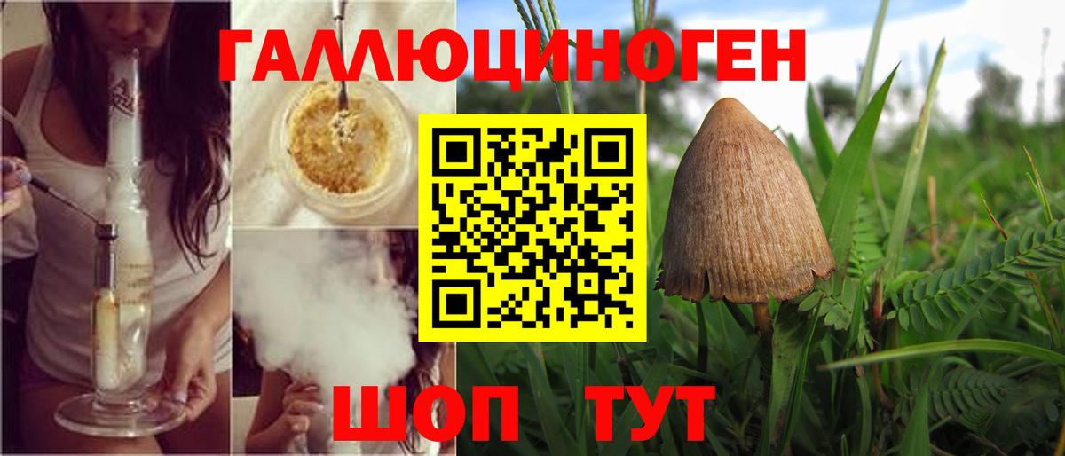 Псилоцибиновые грибы мицелий  Вход с VPN  Псилоцибиновые грибы MAGIC MUSHROOMS  что такое   Камень-на-Оби 