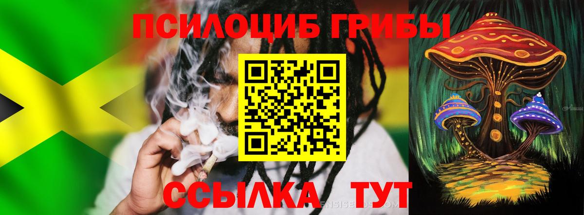 Галлюциногенные грибы ЛСД Камень-на-Оби